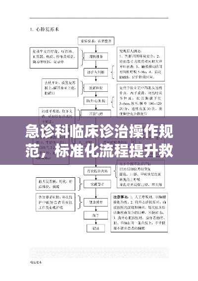 急诊科临床诊治操作规范，标准化流程提升救治效率