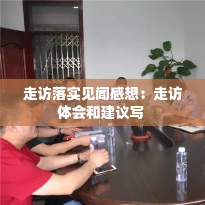 走访落实见闻感想：走访体会和建议写 