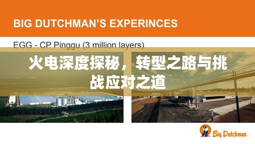 火电深度探秘，转型之路与挑战应对之道