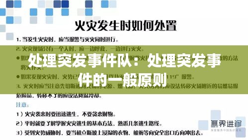 处理突发事件队：处理突发事件的一般原则 