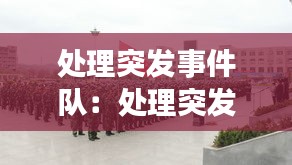 处理突发事件队:处理突发事件的一般原则