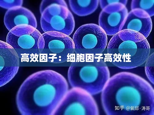 高效因子:细胞因子高效性