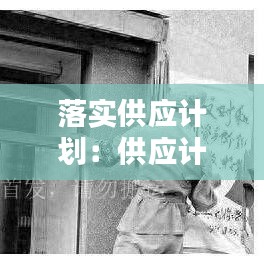 落实供应计划：供应计划表 