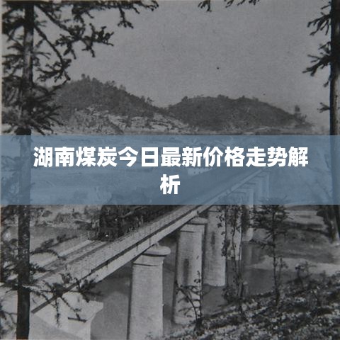 湖南煤炭今日最新价格走势解析
