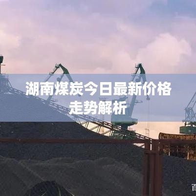 湖南煤炭今日最新价格走势解析