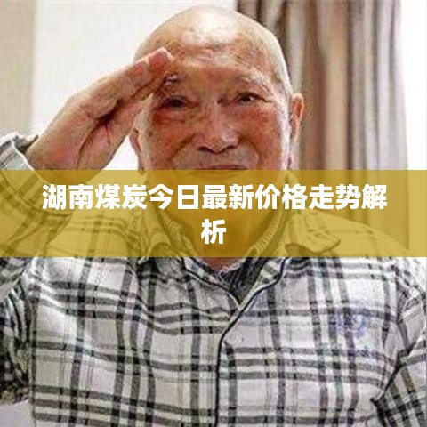 湖南煤炭今日最新价格走势解析