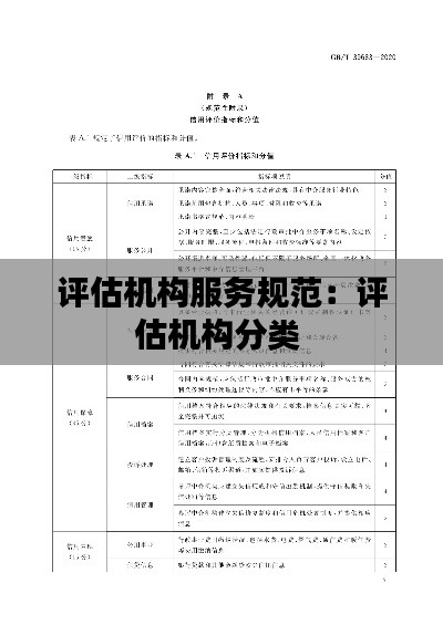 评估机构服务规范：评估机构分类 