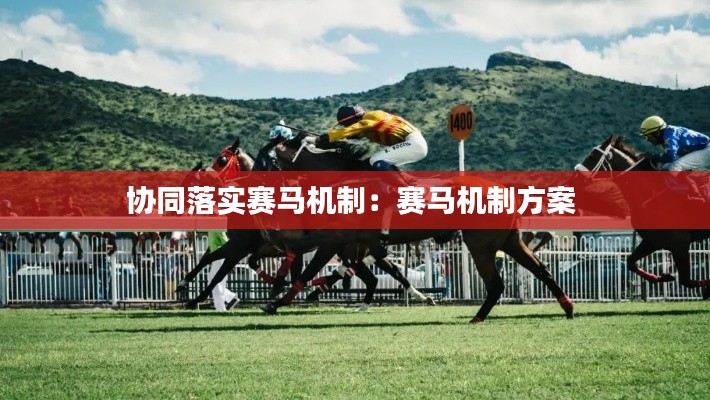 协同落实赛马机制：赛马机制方案 