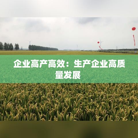 企业高产高效:生产企业高质量发展