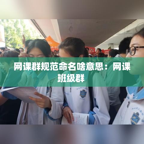 网课群规范命名啥意思：网课班级群 