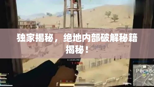 独家揭秘，绝地内部破解秘籍揭秘！