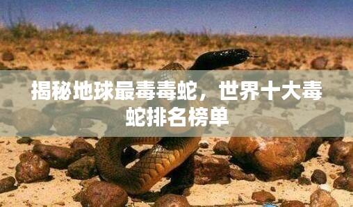 揭秘地球最毒毒蛇,世界十大毒蛇排名榜单