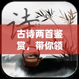 古诗两首鉴赏，带你领略百度收录的诗词魅力