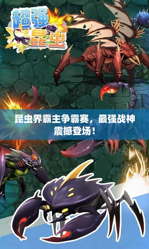 昆虫界霸主争霸赛，最强战神震撼登场！