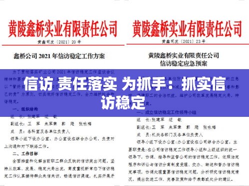 信访 责任落实 为抓手：抓实信访稳定 