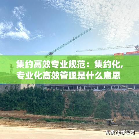 集约高效专业规范：集约化,专业化高效管理是什么意思 