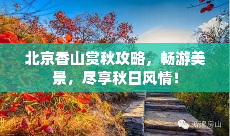 北京香山赏秋攻略，畅游美景，尽享秋日风情！