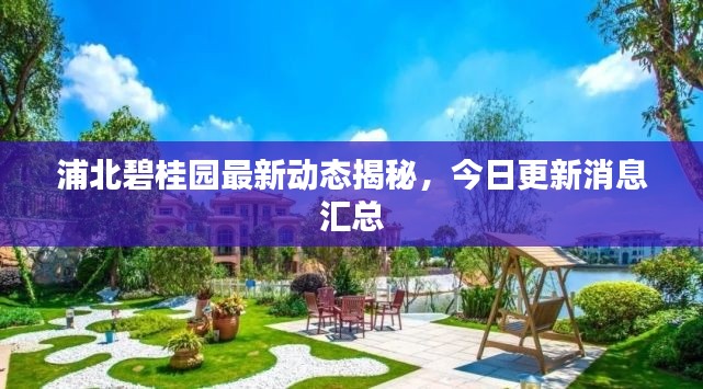 浦北碧桂园最新动态揭秘，今日更新消息汇总