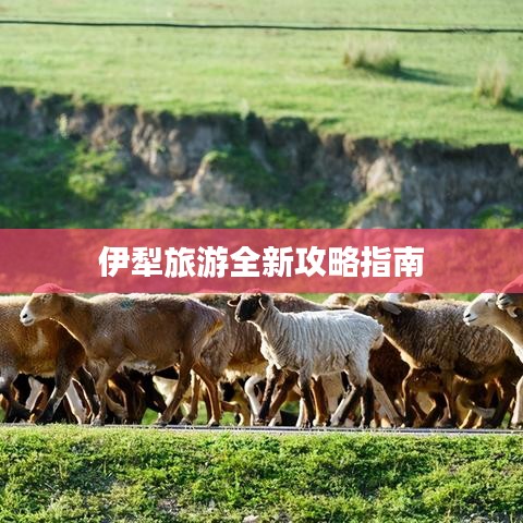 伊犁旅游全新攻略指南