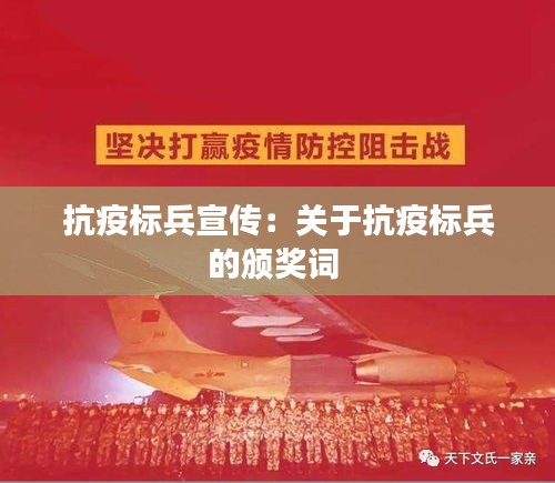 抗疫标兵宣传：关于抗疫标兵的颁奖词 