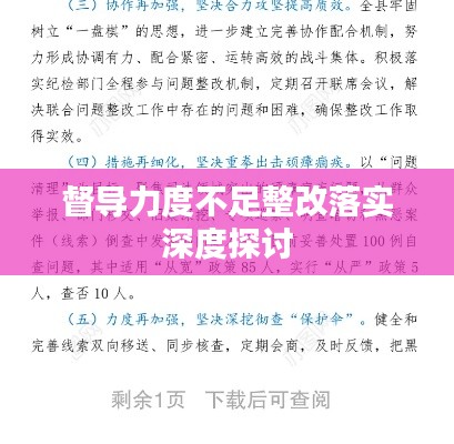 督导力度不足整改落实深度探讨