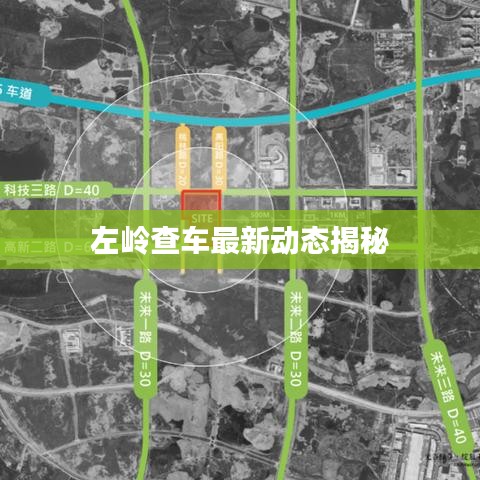 饭来张口 第3页