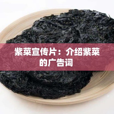 紫菜宣传片：介绍紫菜的广告词 