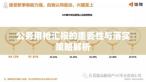 公务用枪汇报的重要性与落实策略解析