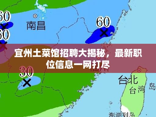 宜州土菜馆招聘大揭秘，最新职位信息一网打尽