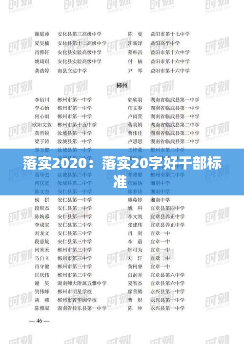 落实2020：落实20字好干部标准 