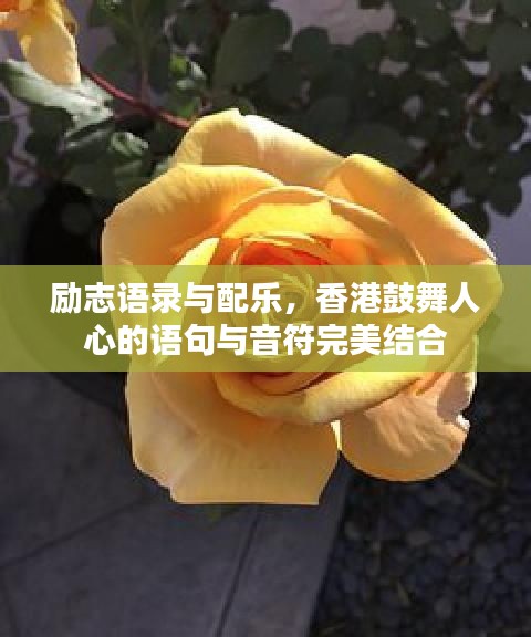 洞天福地 第3页