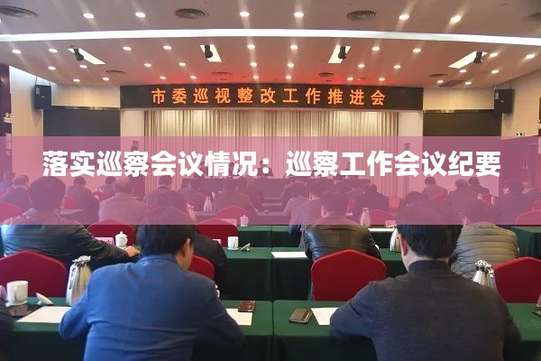 落实巡察会议情况：巡察工作会议纪要 