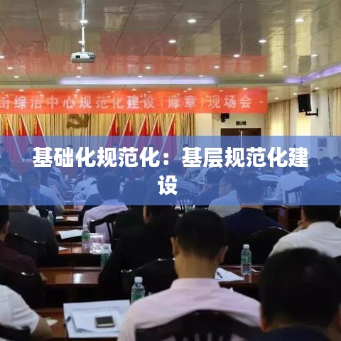 基础化规范化：基层规范化建设 