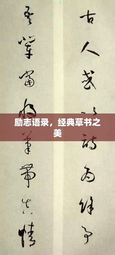 励志语录，经典草书之美