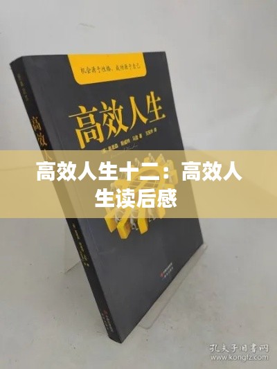 高效人生十二：高效人生读后感 