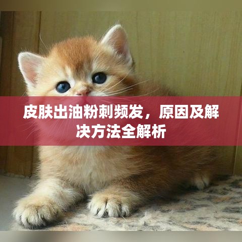 皮肤出油粉刺频发，原因及解决方法全解析
