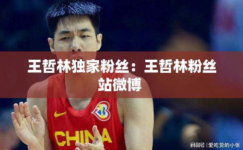 王哲林独家粉丝：王哲林粉丝站微博 