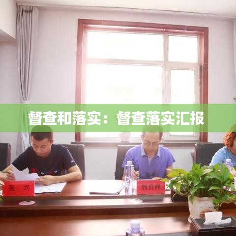 督查和落实：督查落实汇报 