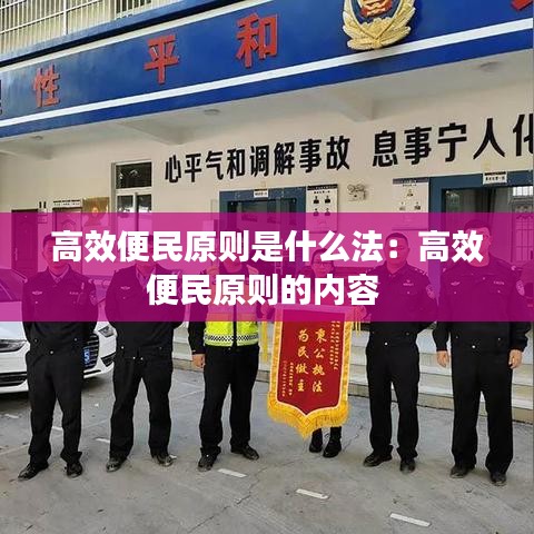 高效便民原则是什么法：高效便民原则的内容 