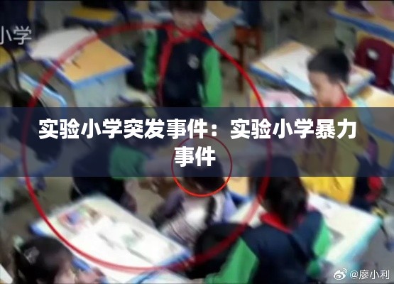 志同道合 第3页