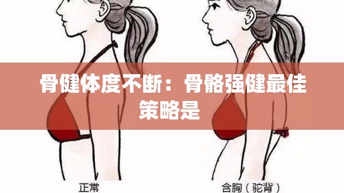 骨健体度不断:骨骼强健最佳策略是