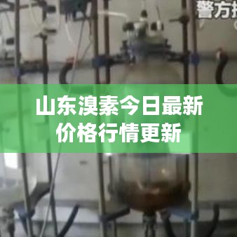 山东溴素今日最新价格行情更新