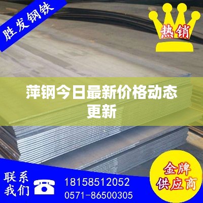 萍钢今日最新价格动态更新