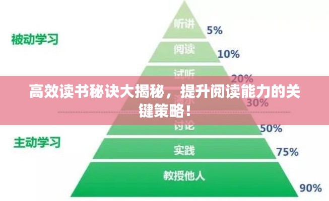 高效读书秘诀大揭秘，提升阅读能力的关键策略！