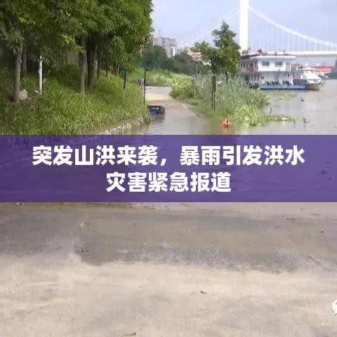 虚张声势 第3页