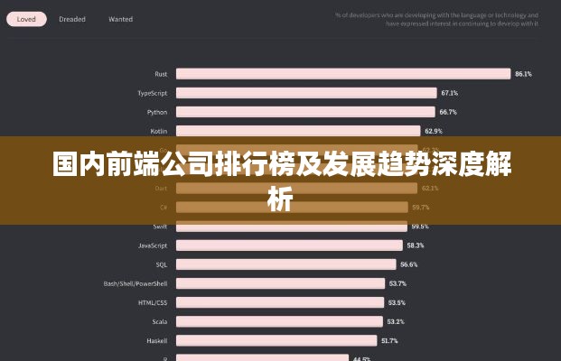 国内前端公司排行榜及发展趋势深度解析