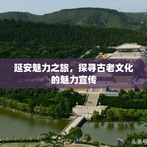 刚毅木讷 第3页