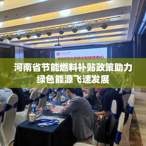 河南省节能燃料补贴政策助力绿色能源飞速发展