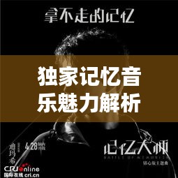 独家记忆音乐魅力解析