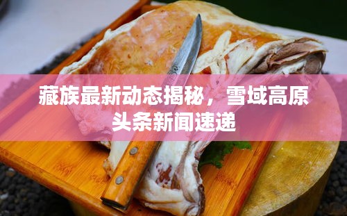 林下风气 第3页